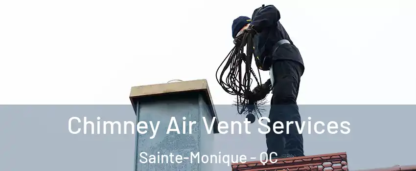  Chimney Air Vent Services Sainte-Monique - QC