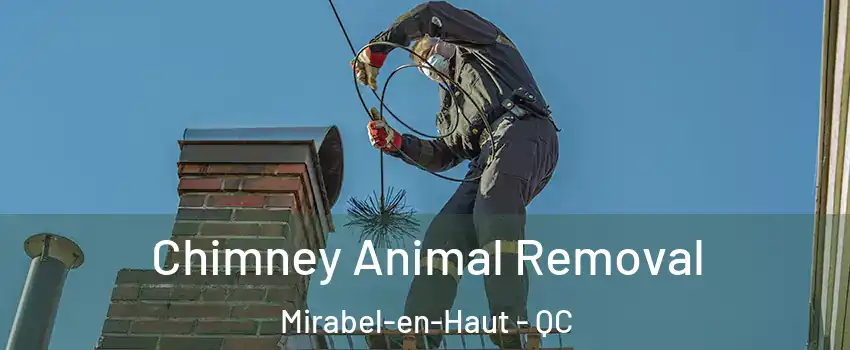 Chimney Animal Removal Mirabel-en-Haut - QC