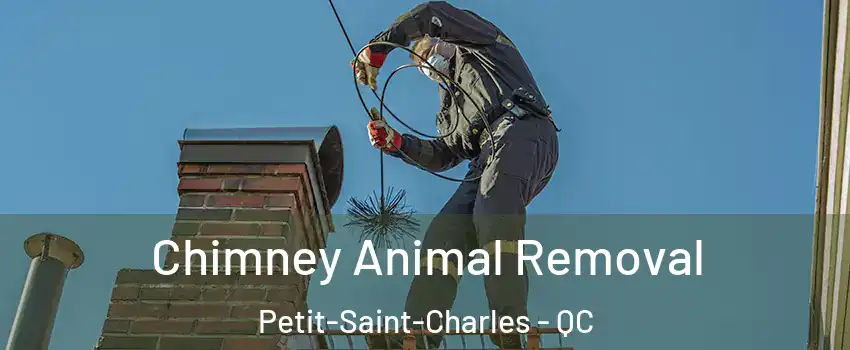 Chimney Animal Removal Petit-Saint-Charles - QC