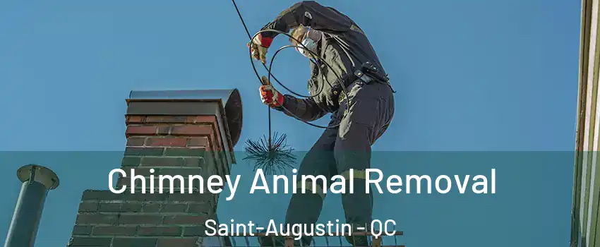 Chimney Animal Removal Saint-Augustin - QC