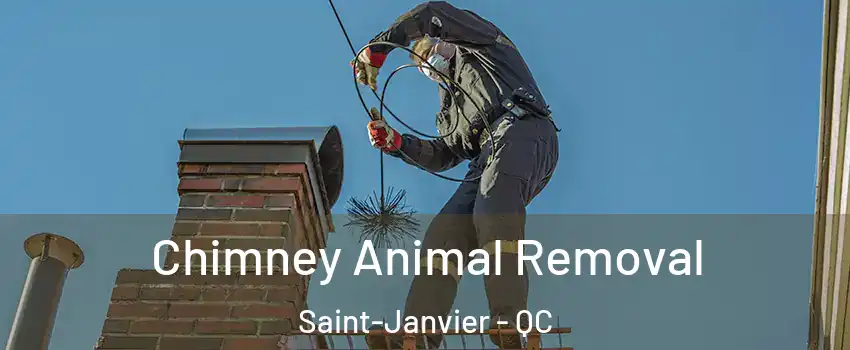 Chimney Animal Removal Saint-Janvier - QC