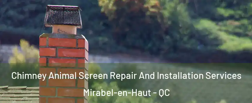  Chimney Animal Screen Repair And Installation Services Mirabel-en-Haut - QC