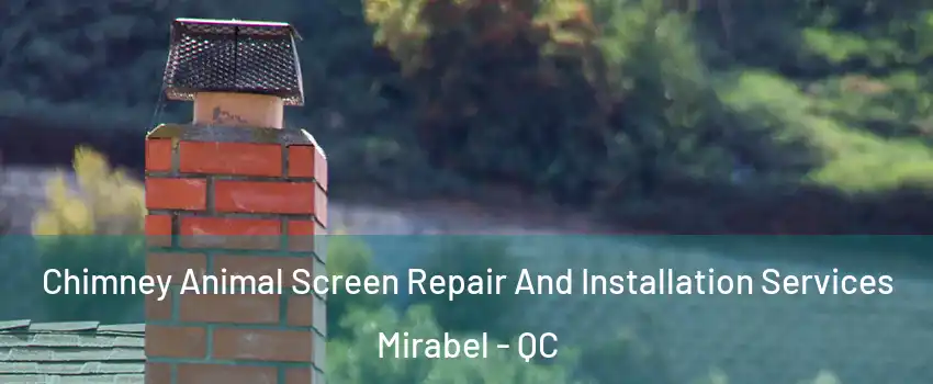  Chimney Animal Screen Repair And Installation Services Mirabel - QC