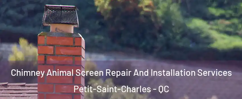  Chimney Animal Screen Repair And Installation Services Petit-Saint-Charles - QC