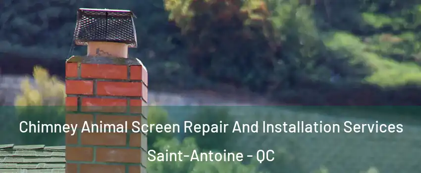  Chimney Animal Screen Repair And Installation Services Saint-Antoine - QC