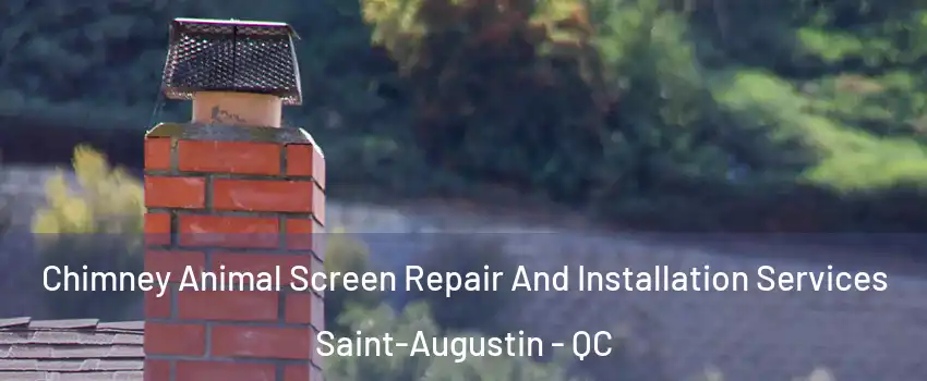  Chimney Animal Screen Repair And Installation Services Saint-Augustin - QC