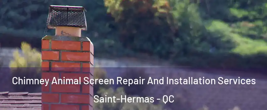  Chimney Animal Screen Repair And Installation Services Saint-Hermas - QC
