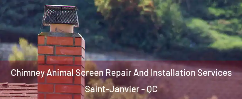  Chimney Animal Screen Repair And Installation Services Saint-Janvier - QC
