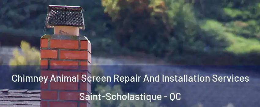  Chimney Animal Screen Repair And Installation Services Saint-Scholastique - QC