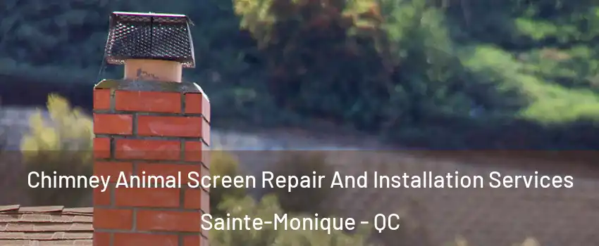  Chimney Animal Screen Repair And Installation Services Sainte-Monique - QC