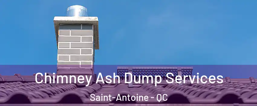  Chimney Ash Dump Services Saint-Antoine - QC