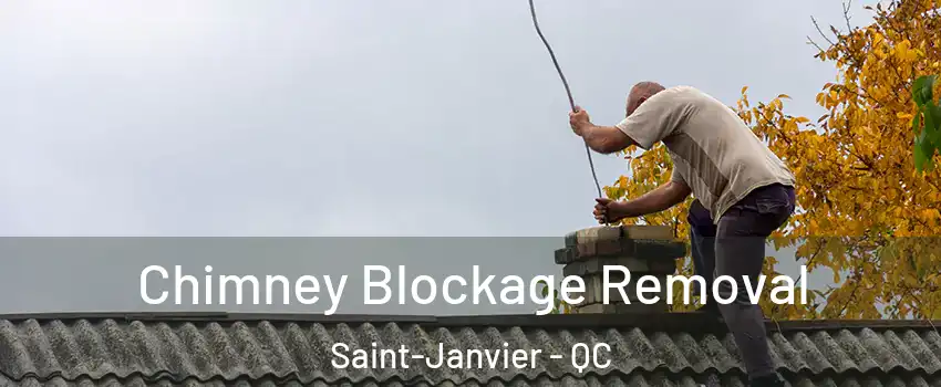  Chimney Blockage Removal Saint-Janvier - QC