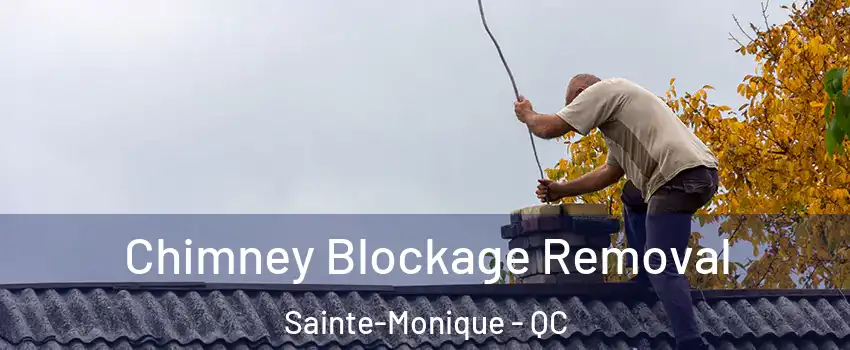  Chimney Blockage Removal Sainte-Monique - QC