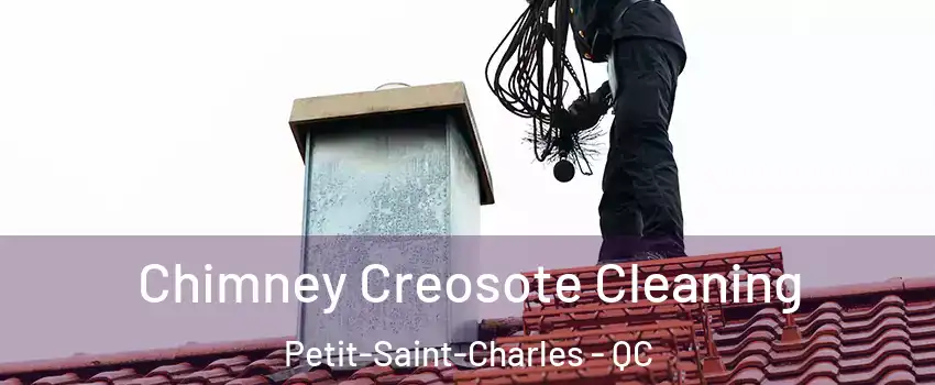  Chimney Creosote Cleaning Petit-Saint-Charles - QC