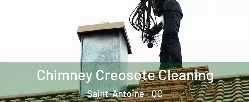  Chimney Creosote Cleaning Saint-Antoine - QC