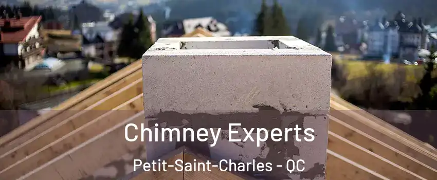 Chimney Experts Petit-Saint-Charles - QC