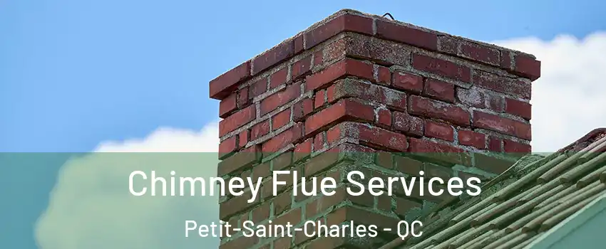  Chimney Flue Services Petit-Saint-Charles - QC