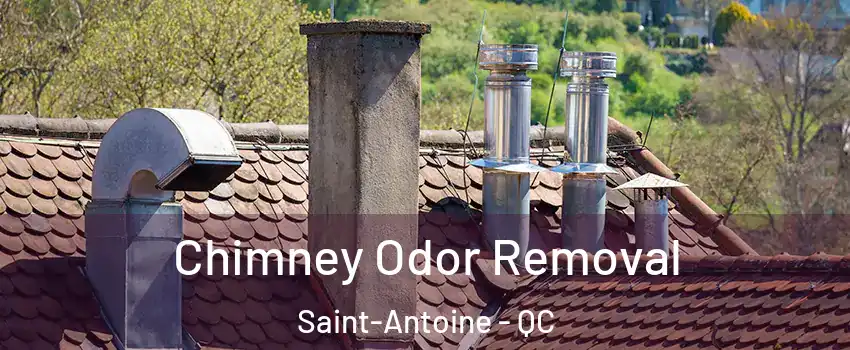  Chimney Odor Removal Saint-Antoine - QC