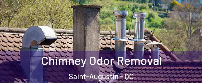  Chimney Odor Removal Saint-Augustin - QC