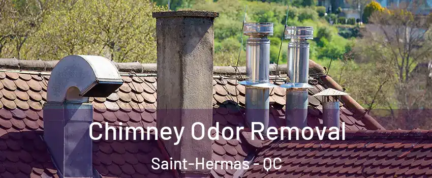  Chimney Odor Removal Saint-Hermas - QC