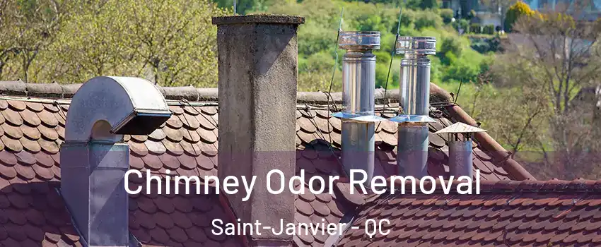  Chimney Odor Removal Saint-Janvier - QC