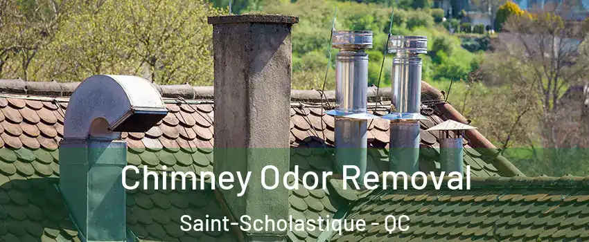  Chimney Odor Removal Saint-Scholastique - QC