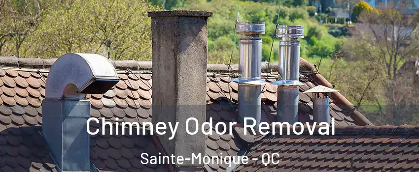  Chimney Odor Removal Sainte-Monique - QC