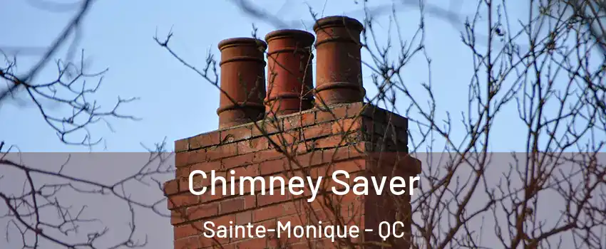  Chimney Saver Sainte-Monique - QC