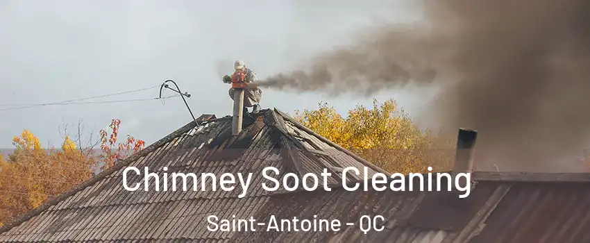  Chimney Soot Cleaning Saint-Antoine - QC