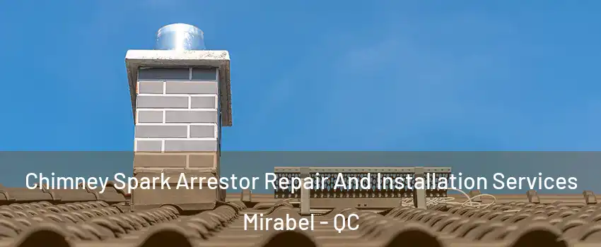  Chimney Spark Arrestor Repair And Installation Services Mirabel - QC