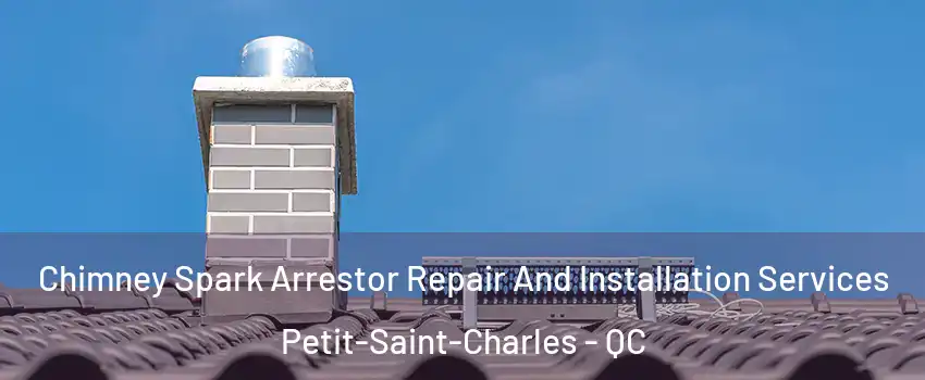  Chimney Spark Arrestor Repair And Installation Services Petit-Saint-Charles - QC