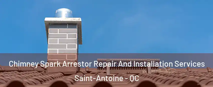  Chimney Spark Arrestor Repair And Installation Services Saint-Antoine - QC