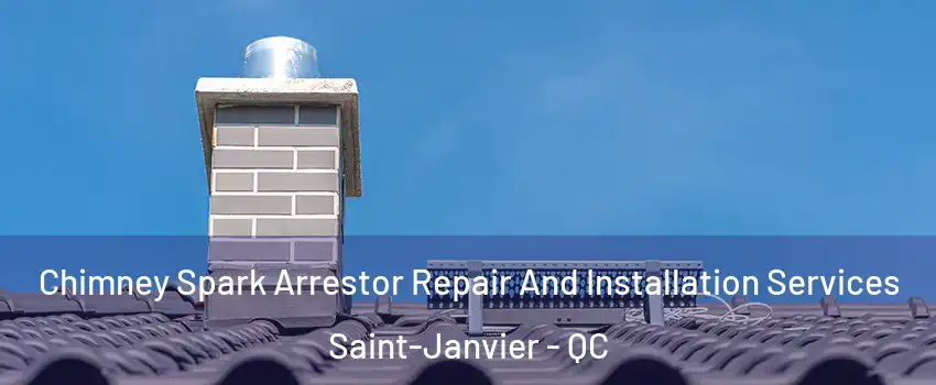  Chimney Spark Arrestor Repair And Installation Services Saint-Janvier - QC