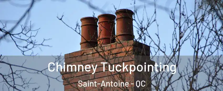  Chimney Tuckpointing Saint-Antoine - QC