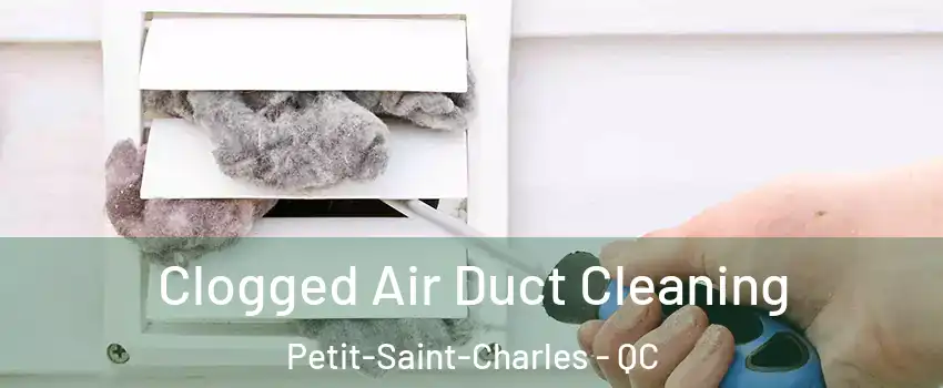  Clogged Air Duct Cleaning Petit-Saint-Charles - QC