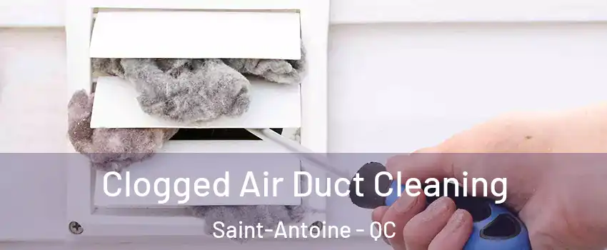  Clogged Air Duct Cleaning Saint-Antoine - QC