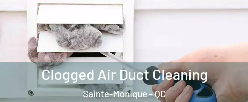  Clogged Air Duct Cleaning Sainte-Monique - QC