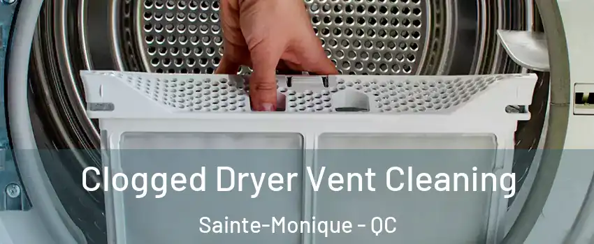  Clogged Dryer Vent Cleaning Sainte-Monique - QC