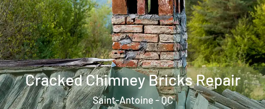  Cracked Chimney Bricks Repair Saint-Antoine - QC