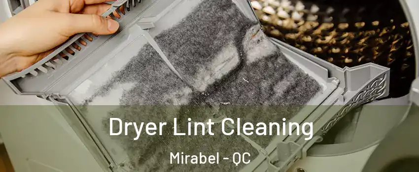  Dryer Lint Cleaning Mirabel - QC