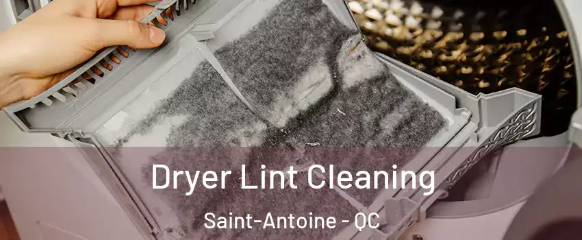  Dryer Lint Cleaning Saint-Antoine - QC