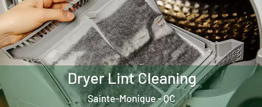  Dryer Lint Cleaning Sainte-Monique - QC