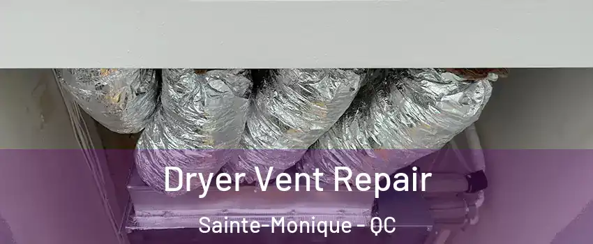 Dryer Vent Repair Sainte-Monique - QC