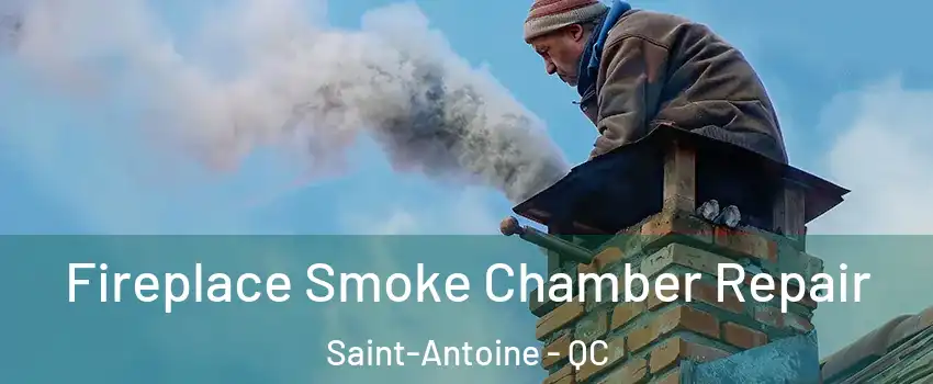  Fireplace Smoke Chamber Repair Saint-Antoine - QC
