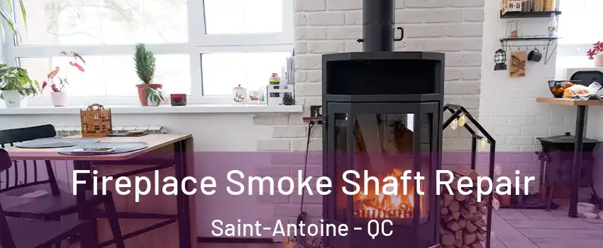  Fireplace Smoke Shaft Repair Saint-Antoine - QC