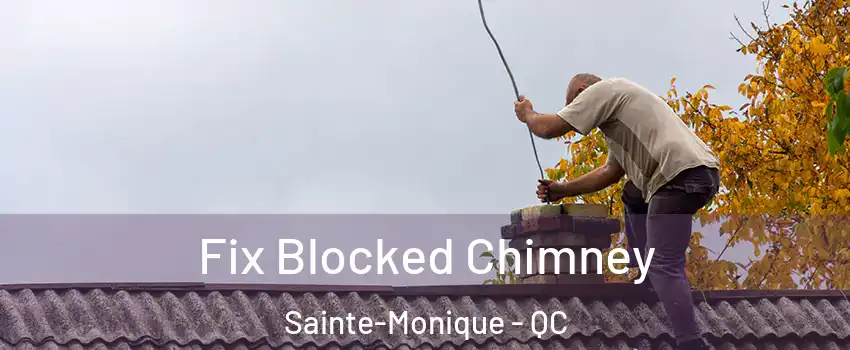  Fix Blocked Chimney Sainte-Monique - QC