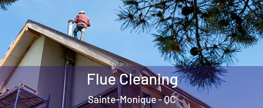  Flue Cleaning Sainte-Monique - QC