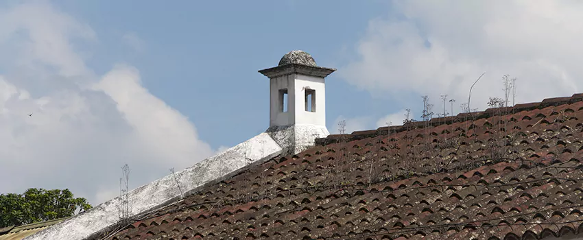 Wind-Resistant Chimney Caps Installation and Repair Services in Mirabel, Quebec