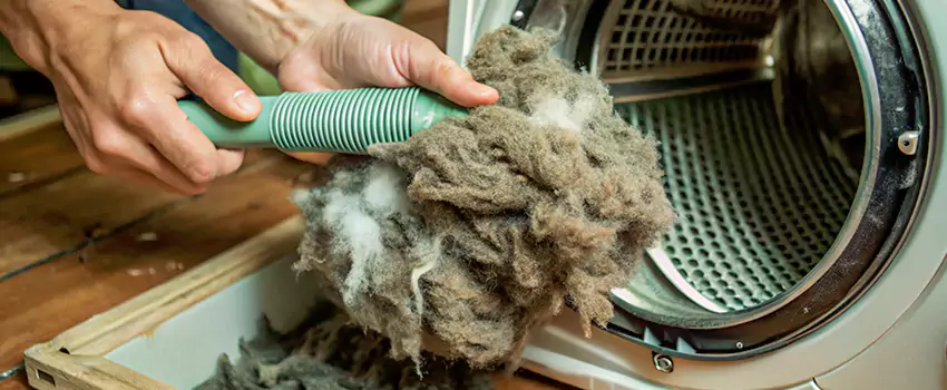 Best Dryer Lint Removal Company in Saint-Augustin, Quebec