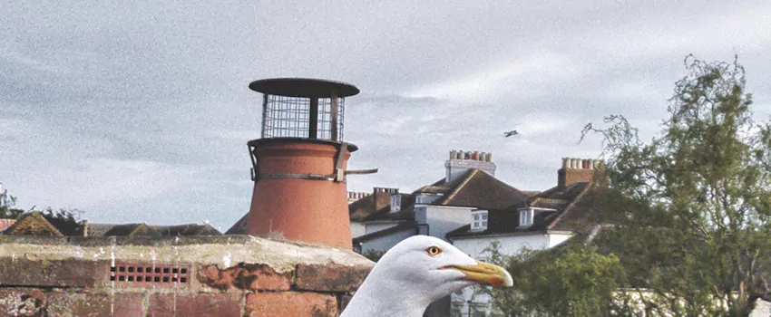 Chimney Cap Bird Guard Repair in Mirabel, Quebec